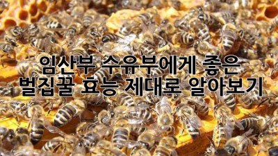 임산부, 수유부에게 좋은 벌집꿀 효능 제대로 알아보기