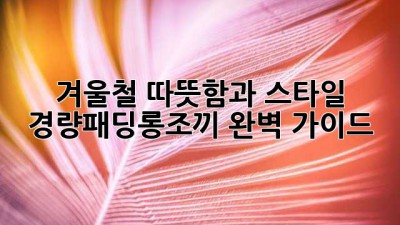 겨울철 따뜻함과 스타일, 경량패딩롱조끼 완벽 가이드
