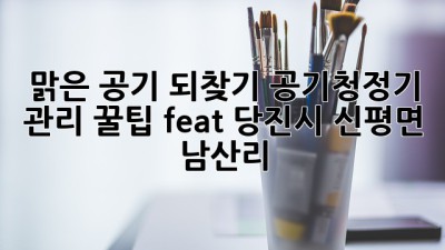 💨 맑은 공기 되찾기! 공기청정기 관리 꿀팁 (feat. 당진시 신평면 남산리) 🏡