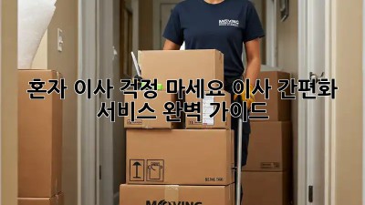 혼자 이사? 걱정 마세요! 이사 간편화 서비스 완벽 가이드